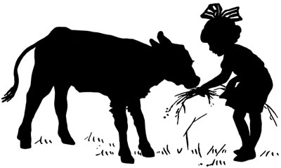 Silhouette of a Girl Feeding a Calf