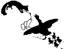 Silhouette of Geese Defending Themselves from a Fox