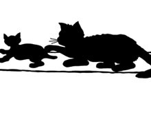 Cat Silhouette of a Cat and Kitten Lying on Rug