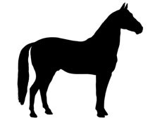 Horse Silhouette Picture
