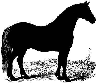 Large Horse Silhouette
