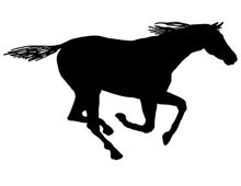 Silhouette of a Horse Running
