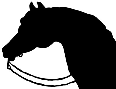 Silhouette of a Horse Head