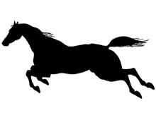 Silhouette of Horse Jumping