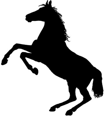 Silhouette of Horse Rearing