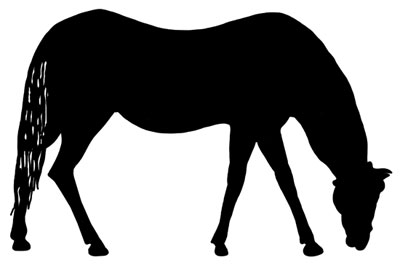 Horse Grazing Drawing