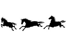 Silhouette of Horses Running