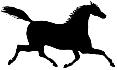 Horse Running Image