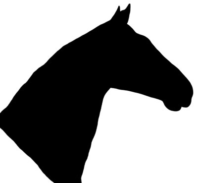 Images of Horses Heads