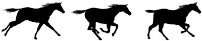 Images of Horses Running