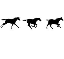 Images of Horses Running