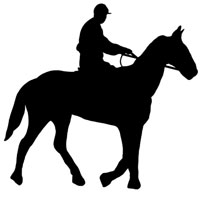 Silhouette of a Horse and Rider