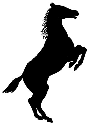 Silhouette of a Horse Rearing