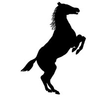 Silhouette of a Horse Rearing